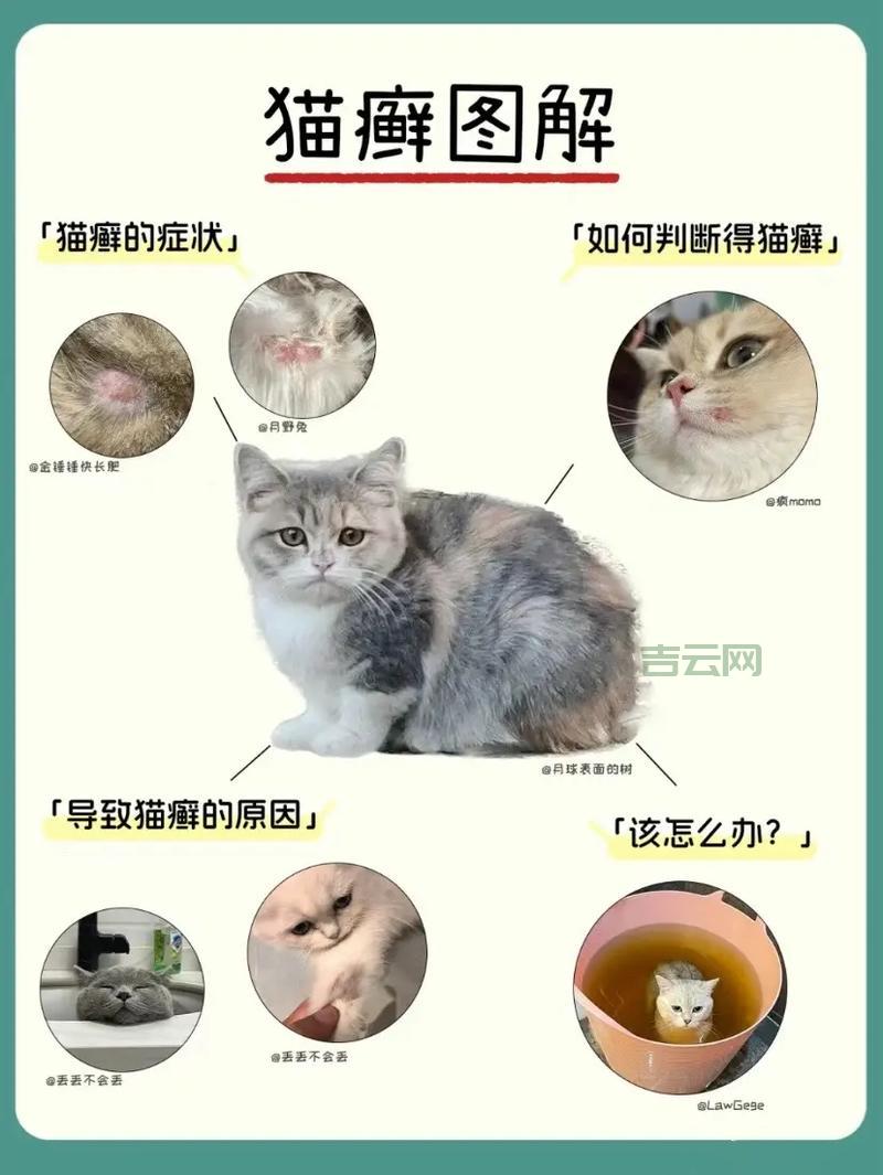 comdlg32.ocx出问题怎么办？别慌，手把手教你解决！