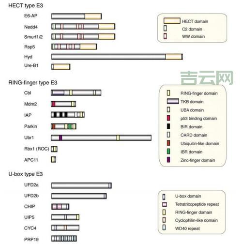 ReadProcessMemory是什么？一篇文章带你彻底了解！