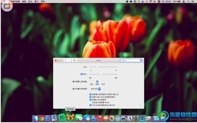 Dock栏怎么设置更高效？个性化定制你的Dock栏！