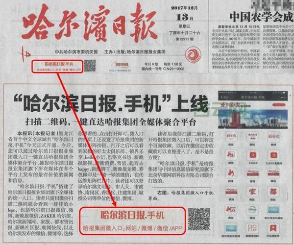 如何快速进行哈尔滨域名注册？完整步骤解析