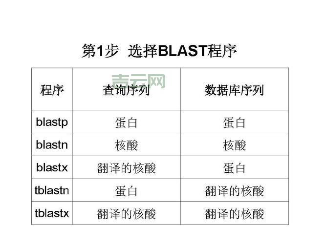想用blastp比对序列？这个blastp教程你一定得看