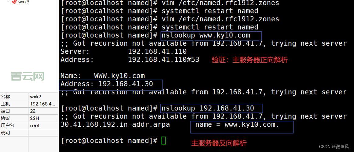 域名服务器：网站访问速度的关键因素