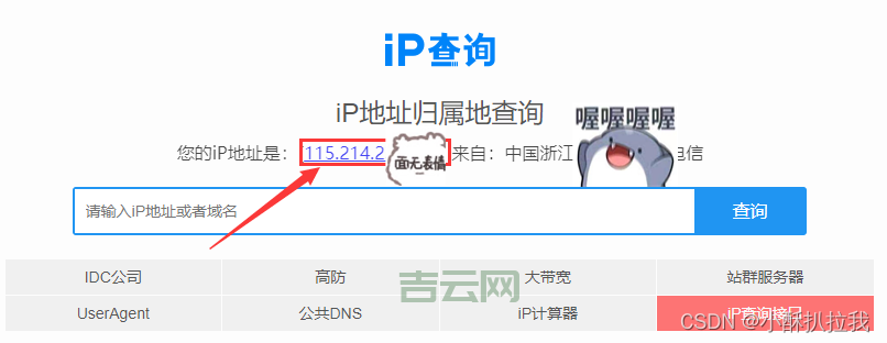 ip138官网查询：IP、手机号归属地及多功能查询平台