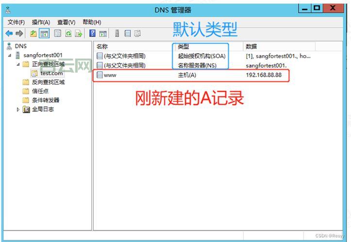 首选DNS服务器地址大全：优化上网体验必备指南