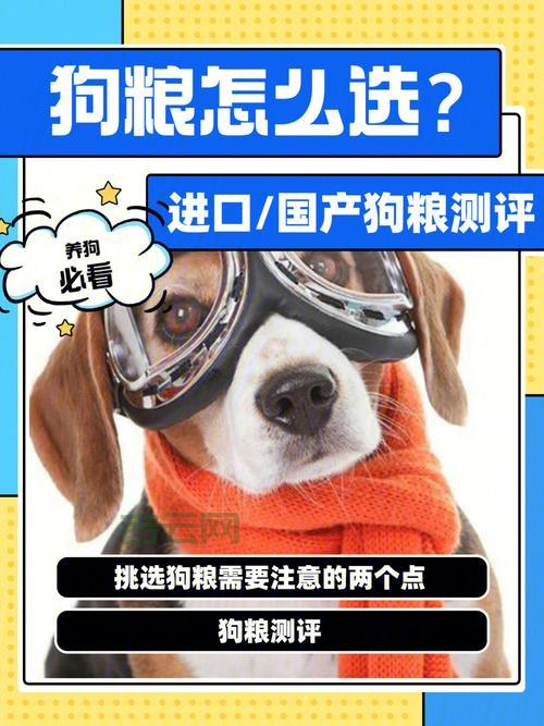 memsql数据库选哪家？对比测评帮你选！