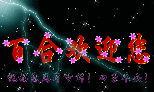 VPS动态IP服务器：提升隐私保护与匿名浏览的最佳选择