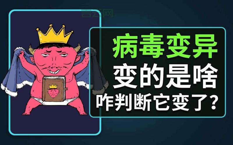 hh.exe是病毒吗？如何判断它是否安全？