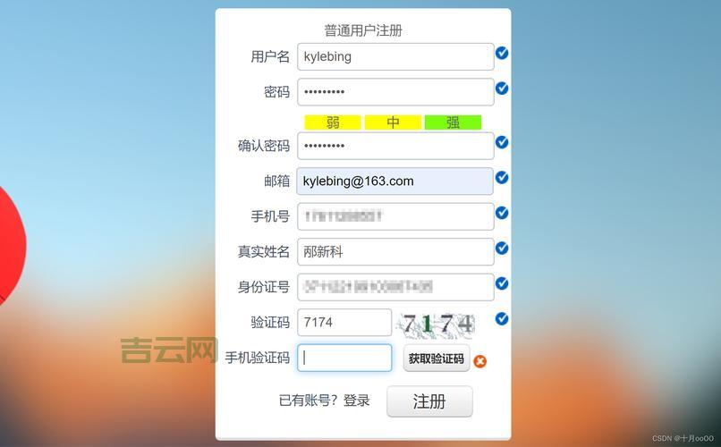 域名申请全攻略：详细流程与实用技巧