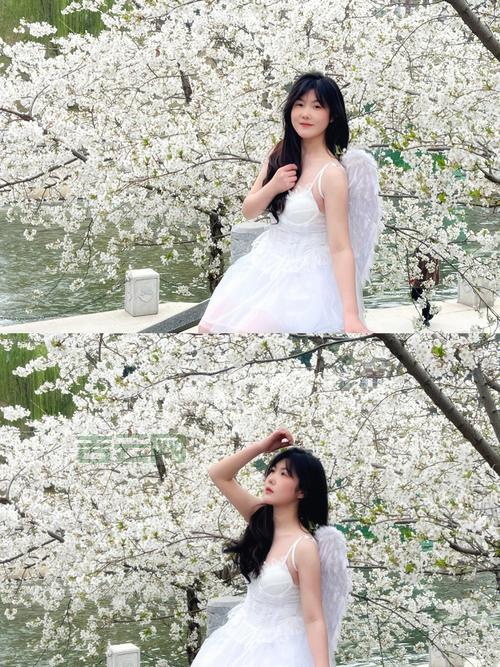 日本樱花服务器免费体验：如何快速获取高性能服务