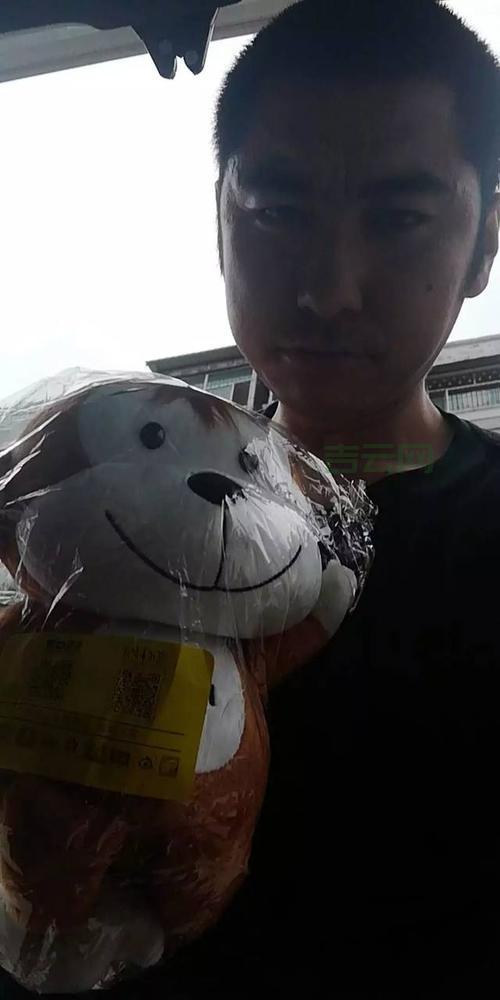 还在为找信息发愁？试试开新网，轻松搞定！