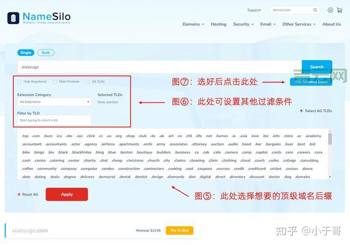 全面解析域名抢注流程，教你轻松获取高价值域名
