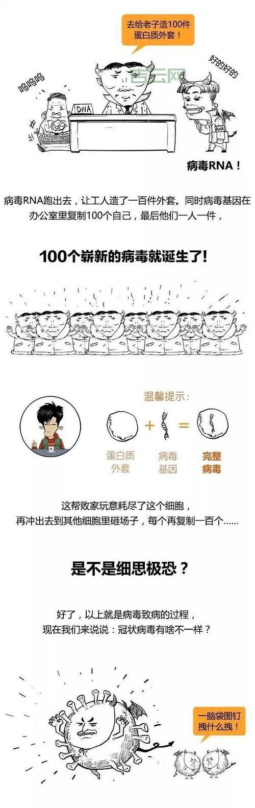 什么是“玩笑病毒”？看完你就明白了！