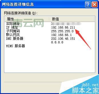 如何快速查IP：常用工具与方法汇总