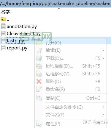文件传输利器：最受欢迎的FTP服务器软件排名