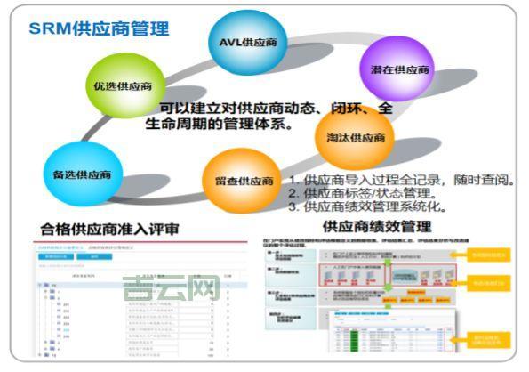 为什么选择IN域名？打造您的印度业务新起点