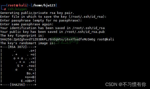 国内Linux主机市场全解析，选购指南看这里