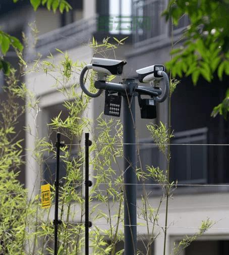 视频监控服务器：高清监控，安心守护