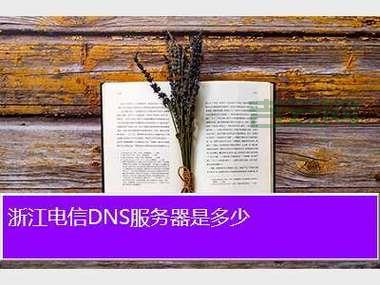 DNS服务器：互联网背后的秘密武器