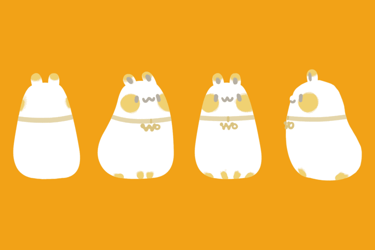 手机IP代理软件免费版：动态IP，一键秒换