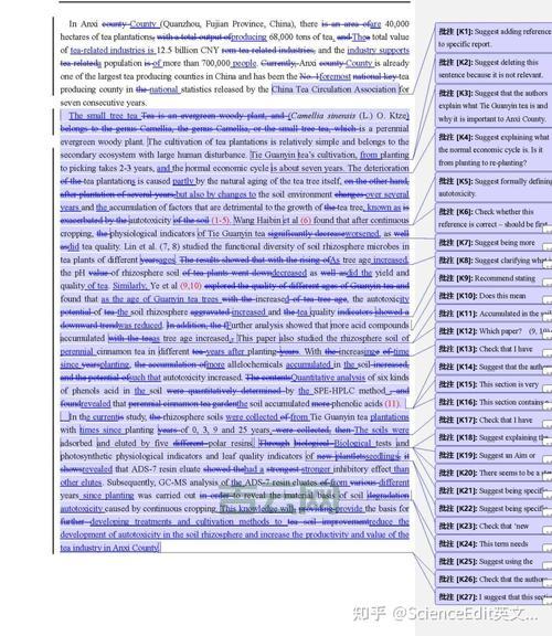 易智编译怎么收费？收费标准详细介绍！