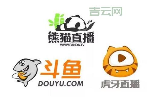 熊猫直播关停服务器：三年运营的终结原因揭秘