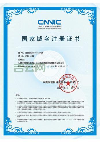 中文域名注册流程解析，新手必看