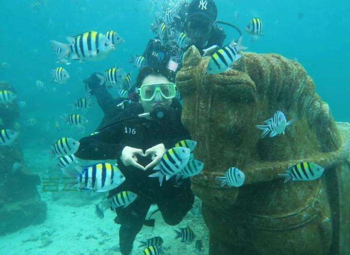 免费vps试用七天怎么选？老司机教你避坑不踩雷！