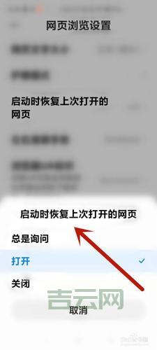 浏览器怎样设置网页打开最大化？详细步骤给你！