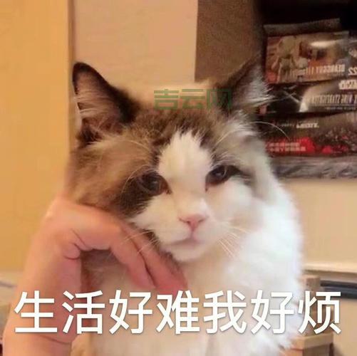 遇到communication error很烦？简单几步轻松搞定！