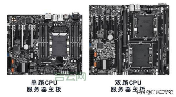 国外永久免费服务器怎么选？手把手教你挑选技巧！