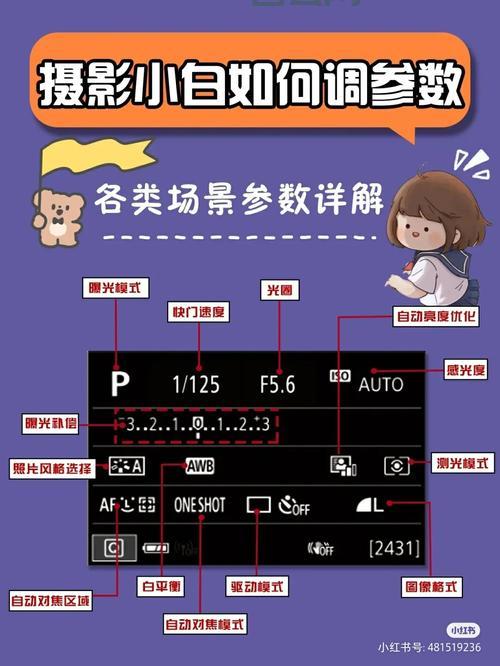 dialogresult.ok如何设置？新手也能轻松学会！
