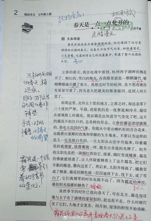 批处理注释怎么用？看完这篇就全明白了！