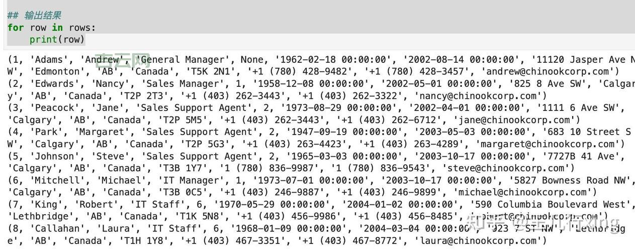 CONN.EXECUTE好不好用？真实用户体验大揭秘！
