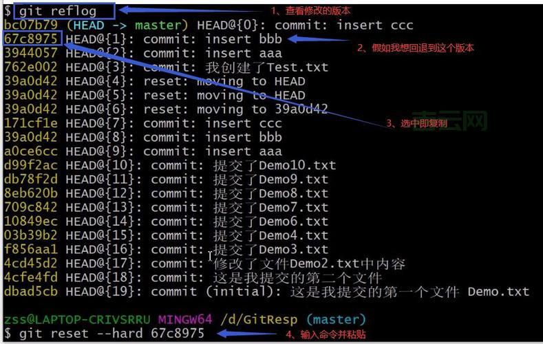 SVN忽略怎么设置？新手也能快速上手的方法！