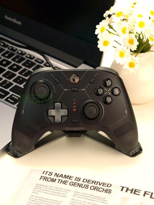 想买winkawaks手柄？这几个要点必须知道！