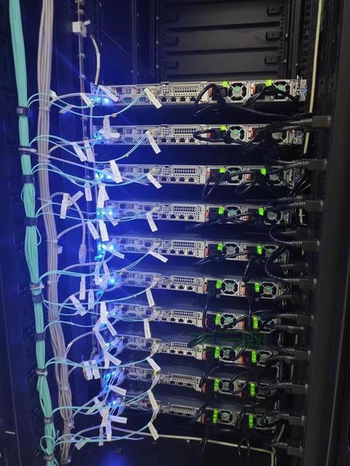 海外服务器租用价格哪家便宜？比比这几家！