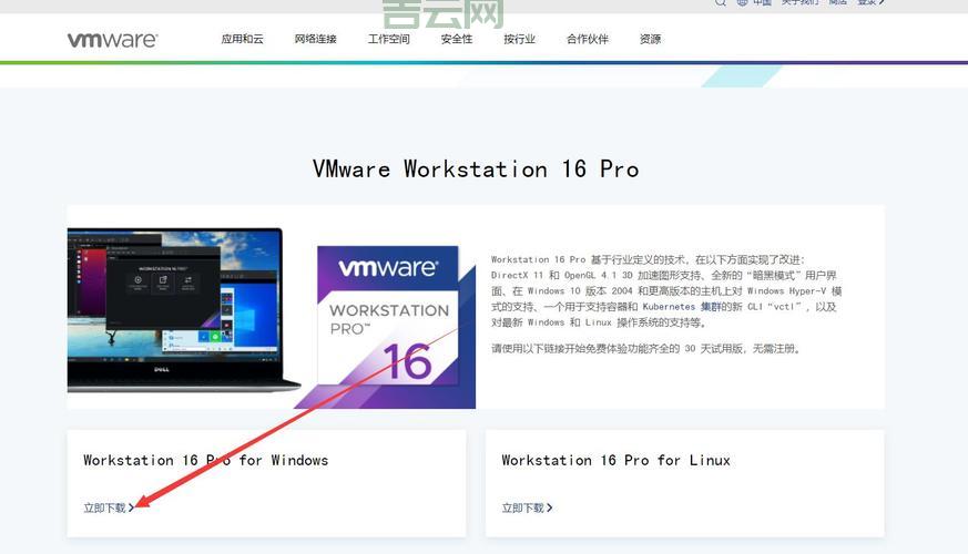 国外虚拟空间搭建网站：从购买到上线的详细教程！