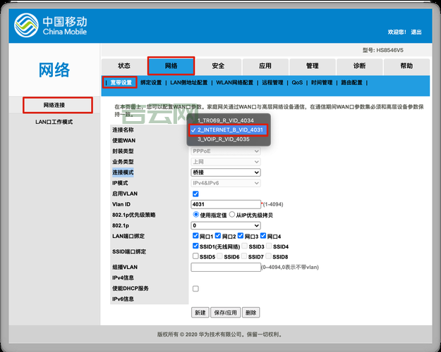 输入ip查域名怎么操作？新手也能快速上手！