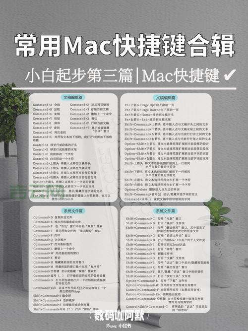 dropbox怎么用才能提高效率？这些功能值得试试！