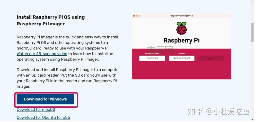 树莓派是什么意思？新手小白一看就懂的入门指南！