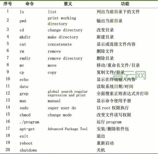 树莓派是什么意思？新手小白一看就懂的入门指南！
