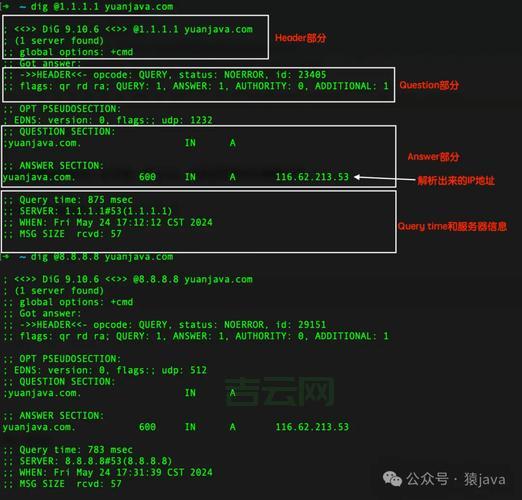 如何快速查询双拼域名？这几个工具简单又好用！