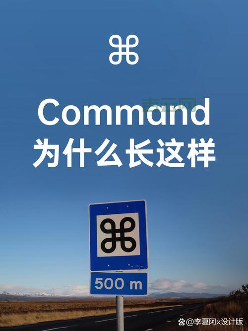 oledbcommand怎么用？新手也能快速上手的方法！