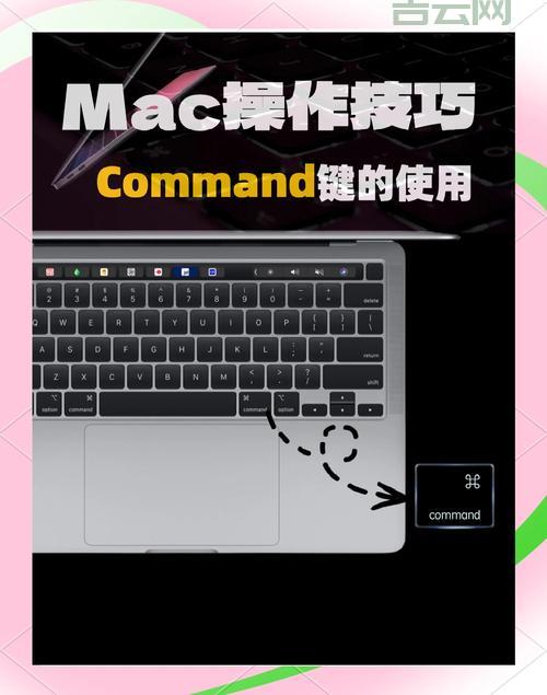 oledbcommand怎么用？新手也能快速上手的方法！