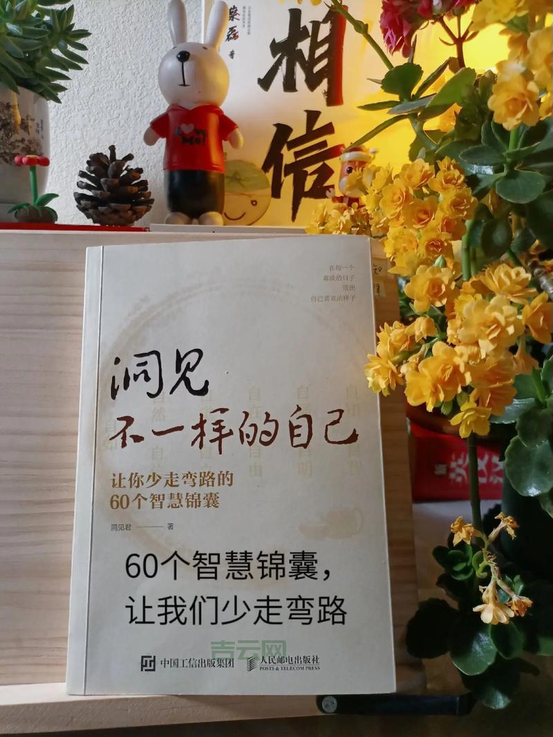 哪里可以学习.net？这几个高质量平台让你少走弯路！