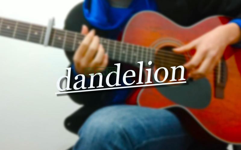 dandelion是什么软件？下载安装及使用教程！