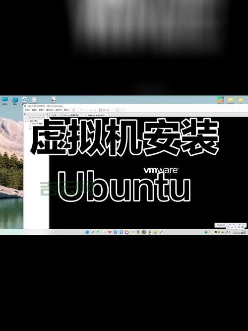 Linux 虚拟主机怎么选？新手小白看这篇就够了！