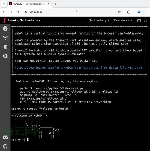 Linux 虚拟主机怎么选？新手小白看这篇就够了！