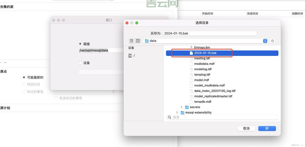 bak是什么文件格式？它是重要备份文件轻易不要动。