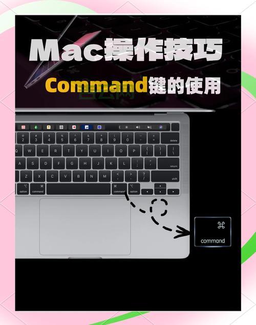 preparecommand怎么用？新手入门看这篇就够了